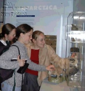 An exhibit at the Antarctic Centre