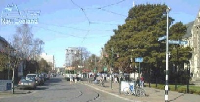 The tram near the Arts Centre.