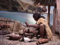 maorikai.JPG (7399 bytes)