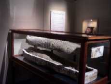 mummy.JPG (4753 bytes)