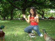 1ecv7.jpg (19182 bytes)