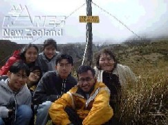 231.jpg (18469 bytes)