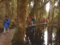 4gs01.jpg (17254 bytes)