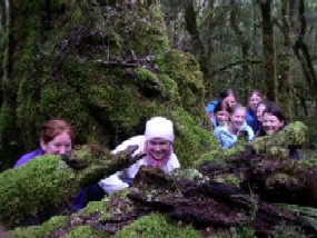 61f01.jpg (27491 bytes)