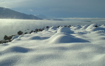 8ag04.jpg (21074 bytes)