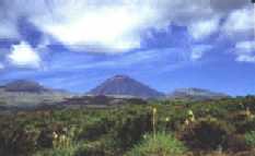 mtnhoesn.jpg (32800 bytes)