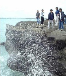 9lc09.jpg (57105 bytes)