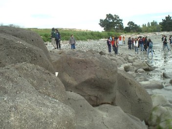 9lc12.jpg (16820 bytes)