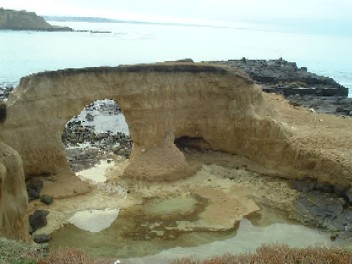 9lc13.jpg (16083 bytes)