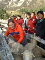 2at11.jpg (13903 bytes)