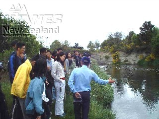 kpa5rst2.jpg (31210 bytes)